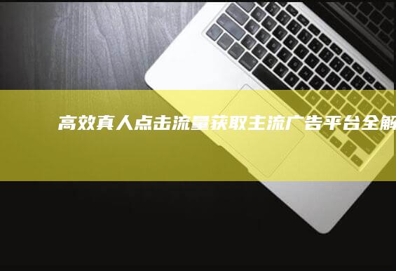 高效真人点击流量获取：主流广告平台全解析