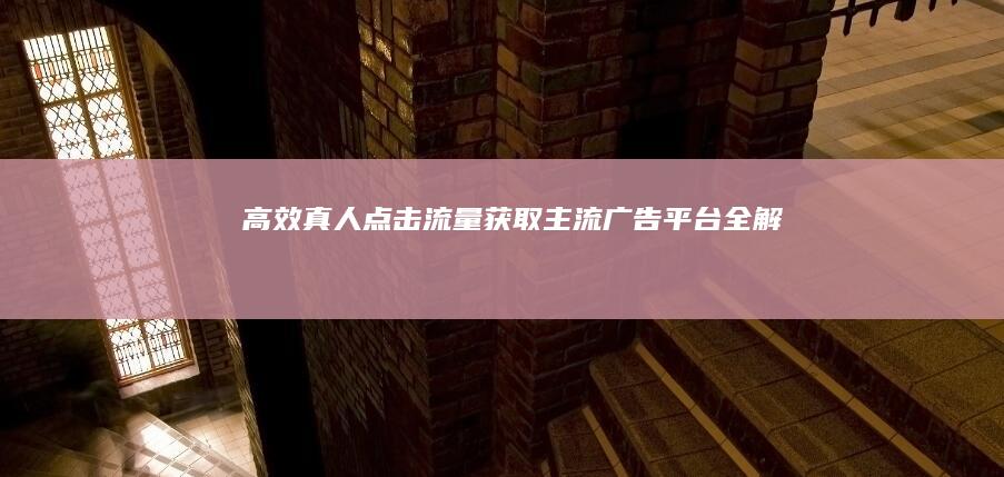 高效真人点击流量获取：主流广告平台全解析